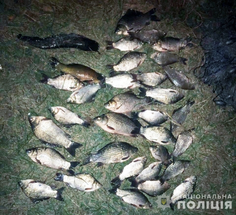 У Городницькій громаді затримали 22-річного чоловіка, який ловив рибу сітками