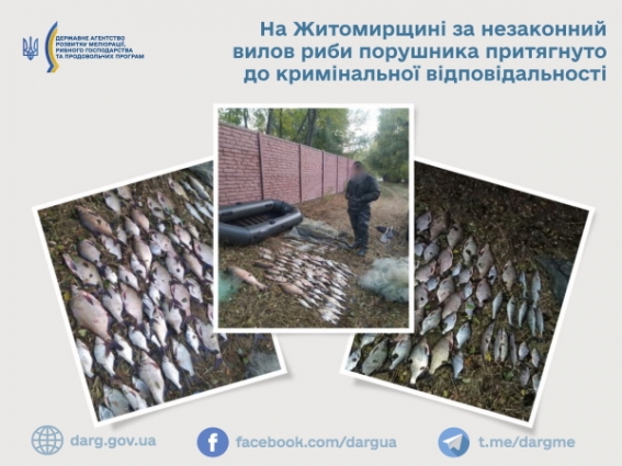 На Житомирщині за незаконний вилов риби порушника притягнуто до кримінальної відповідальності