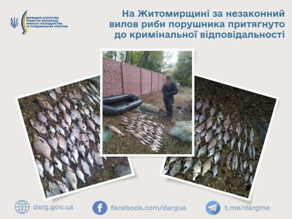 На Житомирщині за незаконний вилов риби порушника притягнуто до кримінальної відповідальності