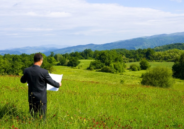 На Житомирщині зареєстровано більше 6 300 правочинів щодо земельних ділянок