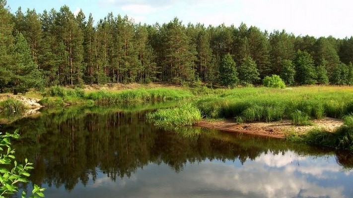На Житомирщині знаходиться понад 200 об’єктів природно-заповідного фонду з них 20 об’єктів загальнодержавного значення