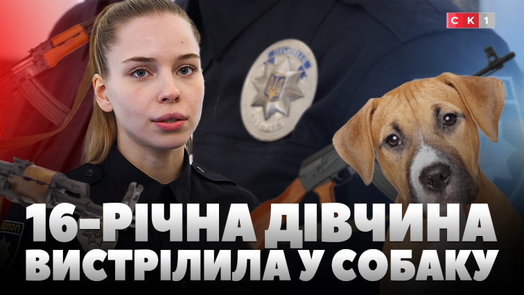 16-річна жителька Андрушівської громади вистрілила у собаку: наразі триває слідство (ВІДЕО)