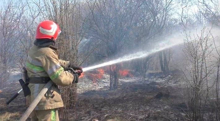 У Коростенському та Житомирському районах горіли будинки, також рятувальники ліквідували загорання сухої трави в Малині