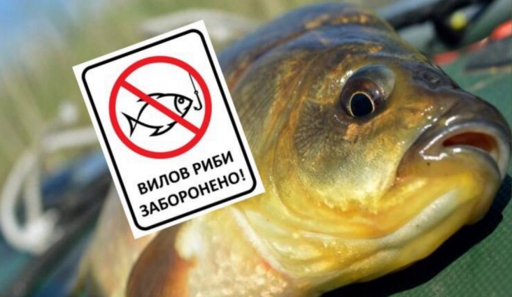 На Житомирщині з 1 квітня стартує нерестова заборона на вилов водних біоресурсів