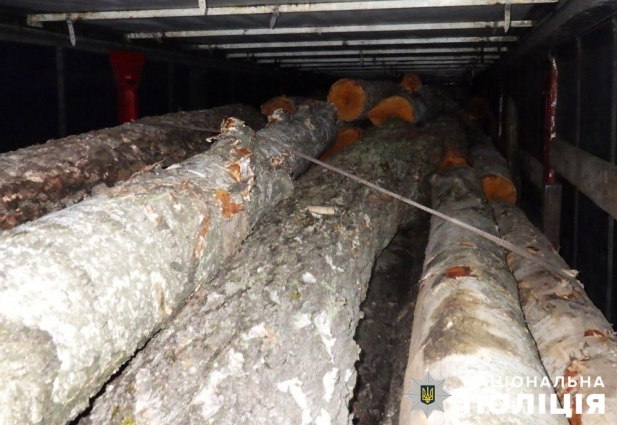 У Звягельському районі затримали водія вантажівки, який перевозив нелегальну деревину
