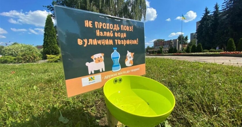 У Житомирі закликають містян подбати тварин, аби ті краще пережили спеку