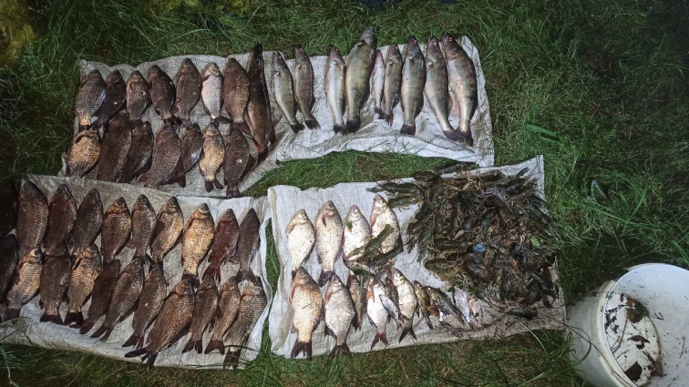 На Житомирщині рибоохоронний патруль затримав порушників, які завдали збитків водним біоресурсам на понад 420 тис. грн. (ФОТО)