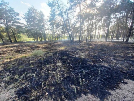 У Житомирі загорілося 200 кв. м сміття на полігоні