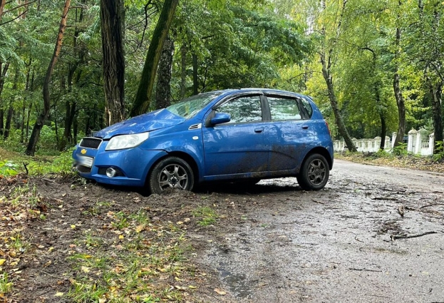 У Житомирі автомобіль зіткнувся з деревом: травмувались двоє дітей