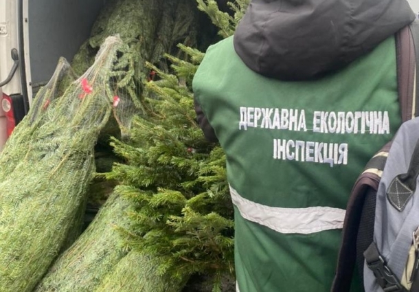 На Поліссі тривають рейдові заходи контролю законності продажу хвойних дерев