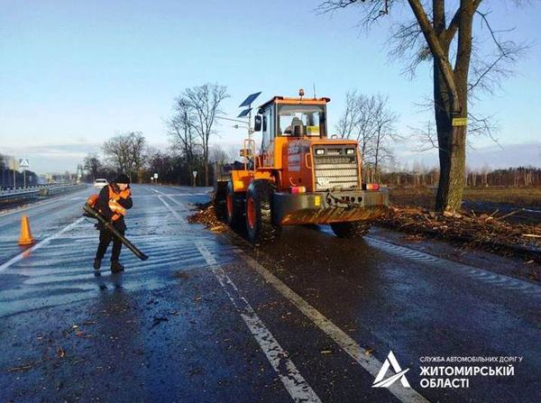 На Житомирщині шквальний вітер зламав дерева та розвертав дорожні знаки: проїзд мережею автошляхами держзначення забезпечено
