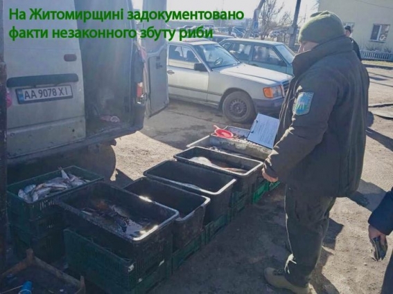 На Житомирщині виявили факти незаконного збуту риби: на продавців склали адмінпротоколи
