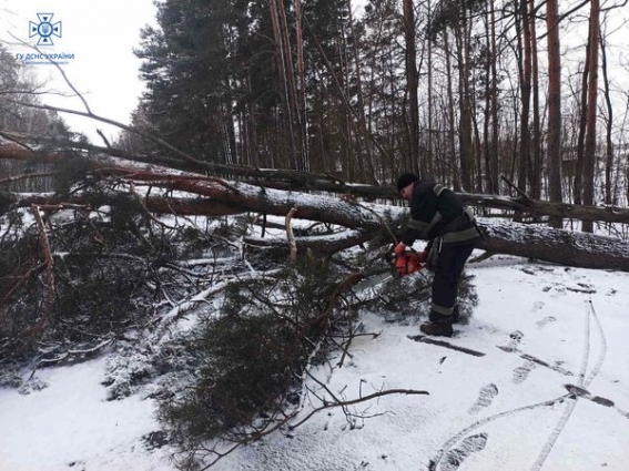 За добу рятувальники області прибрали з автошляхів три повалені вітром дерева