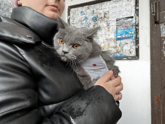 У Житомирі бійці ДСНС ліквідували пожежу в багатоповерхівці та врятували кішку
