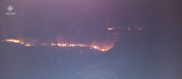 На Житомирщині за добу рятувальники ліквідували 4 пожежі в екосистемах