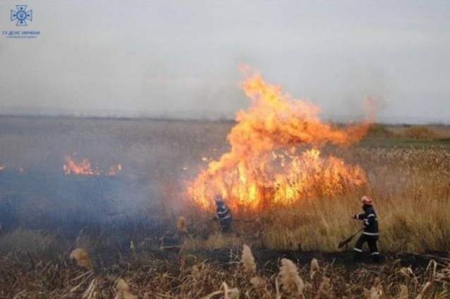 На Житомирщині рятувальники ліквідували два загоряння сухої трави