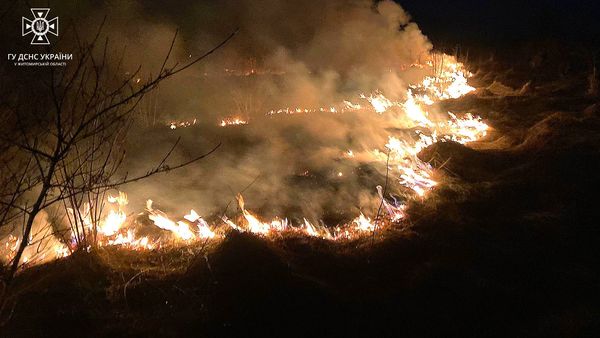 Упродовж доби рятувальники загасили шість загорянь, що виникли в екосистемах регіону
