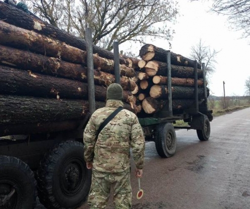 Прикордонники зупинили дві вантажівки вщерть завантажені лісом