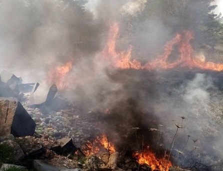 На Житомирщині рятувальники ліквідували чотири загоряння сухої трави на  площі 3,1 га