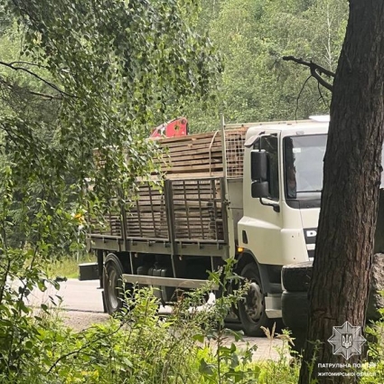 На Житомирщині затримали кілька водіїв, які перевозили деревину без відповідних документів (ФОТО)