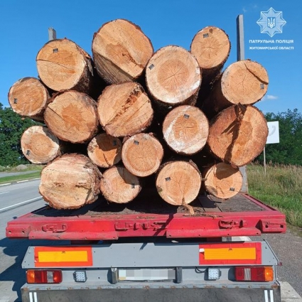 На Житомирщині виявили транспортні засоби, водії яких перевозили лісопродукцію без відповідних документів