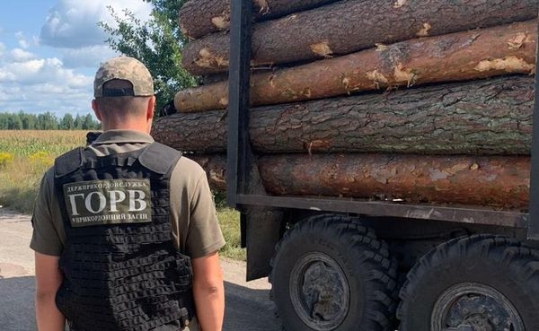 Факт незаконного переміщення лісу виявили прикордонники на Житомирщині