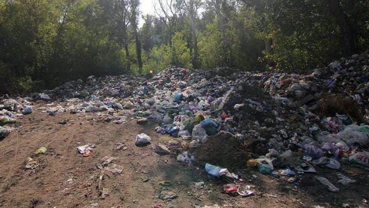 З комунального підприємства на Житомирщині стягнуто понад 200 тис. грн. за забруднення відходами земельної ділянки
