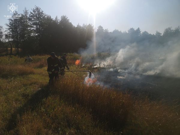 На Житомирщині за минулу добу рятувальники загасили 12 пожеж, горіла суха трава