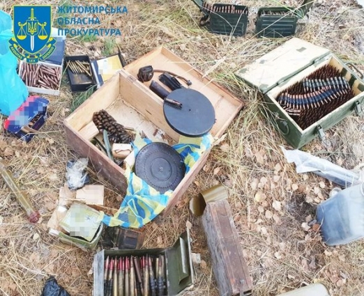 Разом з побутовими приладами «прихопив» й арсенал зброї – крадія з Радомишльської громади взяли під варту