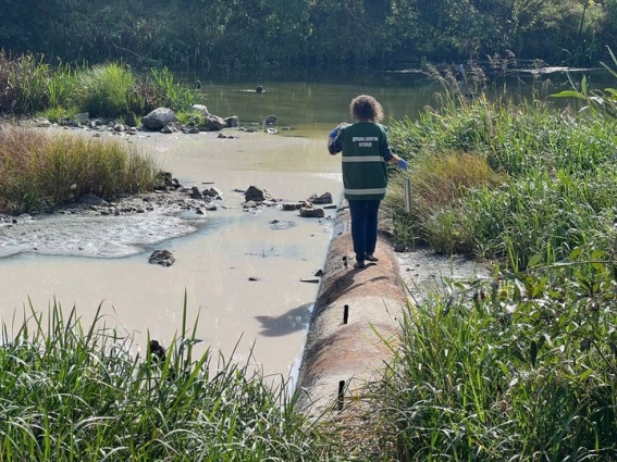 Екоінспекція проводить дослідження проб води у районі скиду нечистот в річку Тетерів (ВІДЕО)