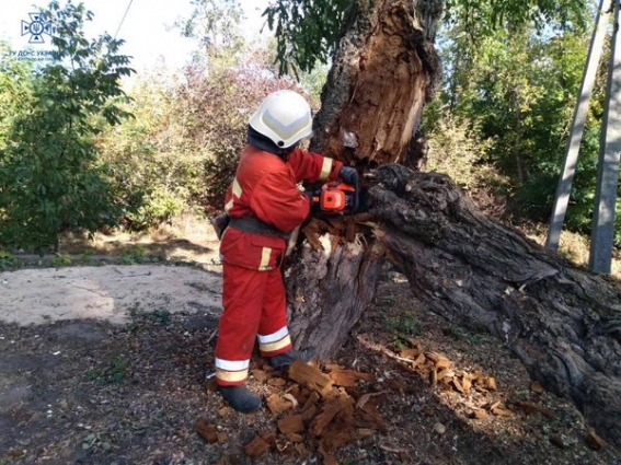 Упродовж доби рятувальники області два рази залучалися до прибирання повалених поривами вітру дерев