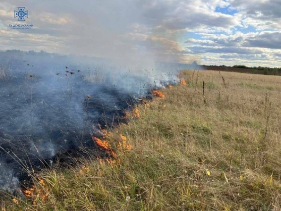 За добу рятувальниками ліквідовано 6 пожеж в екосистемах