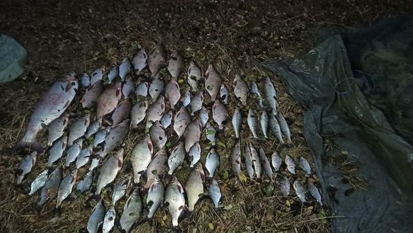 В Житомирському районі викрито громадянина, який «сітками» ловив рибу: біоресурсам завдано збитків на майже 170 тис. грн.