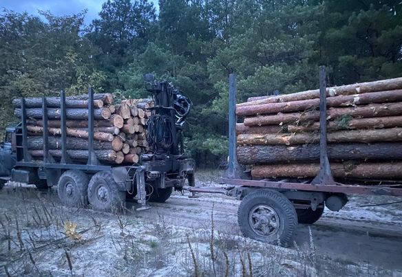 В прикордонні Житомирщини зупинено УРАЛ з лісом невстановленого походження