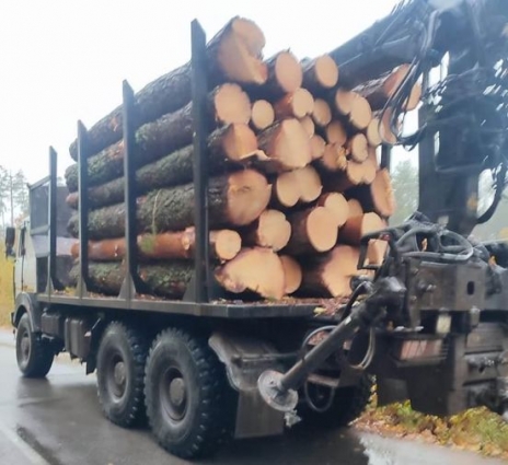 Факт чергового незаконного переміщення лісоматеріалів задокументували прикордонники на Житомирщині
