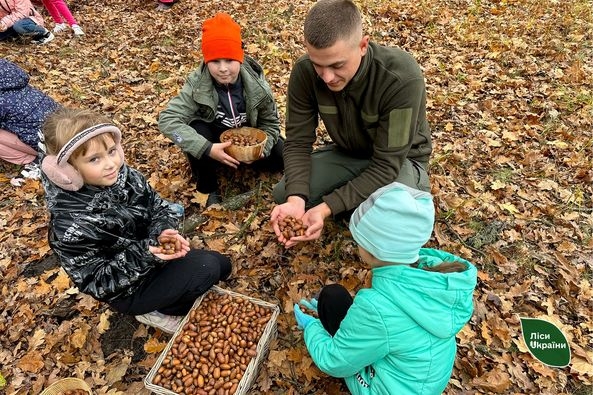 На Житомирщині школярі допомагають лісівникам збирати насіння дуба (ФОТО)