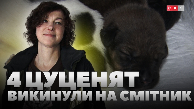 У Житомирі на смітник викинули чотирьох цуценят: малюків рятують волонтери (ВІДЕО)