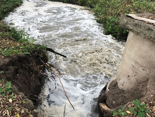 У пробах вод, відібраних у місцях аварійного скиду неочищених стоків у річку Тетерів, Екоінспекцією виявлено значні концентрації забруднюючих речовин