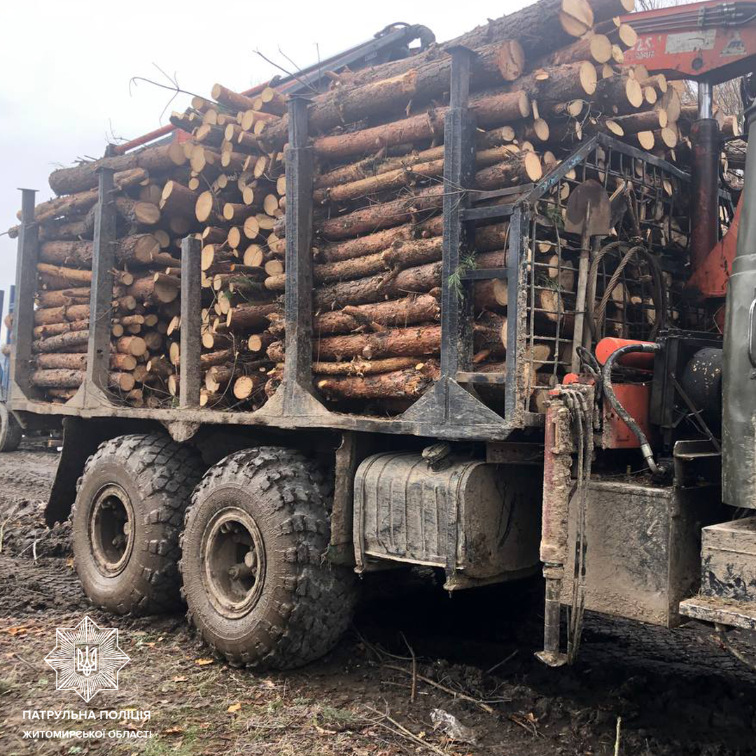 Чотири випадки порушень правил перевезення лісопродукції, виявили патрульні в Житомирі та на автодорогах області