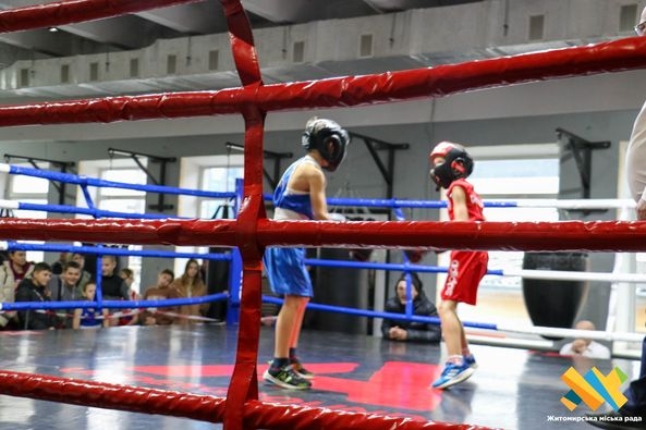 Сила, мужність і витримка: у Житомирі понад 60 юних боксерів демонстрували свою майстерність на рингу (ФОТО)
