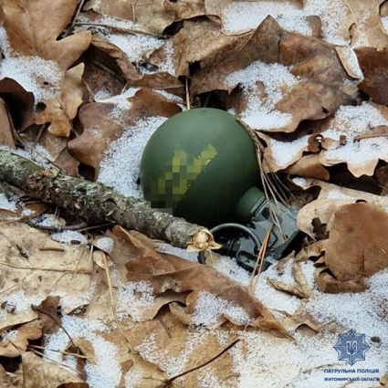 У лісосмузі на околиці Житомира лісівник знайшов гранату та запалювач