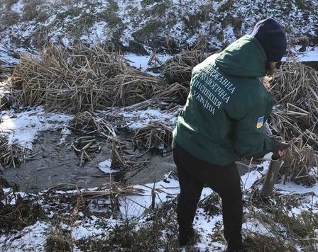 Інспекція відібрала проби води у cтрумку в районі Мар’янівки Житомир для проведення дослідження