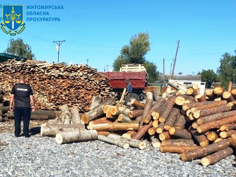 Організував незаконну порубку дубів на понад 2 млн грн збитків – підозрюють майстра лісу держлісгоспу Житомирщини та його спільників (ФОТО)