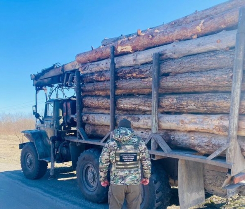 На Коростенщині затримали водія УРАЛу, який перевозив необліковану деревину, звідки і куди віз ліс пояснити не зміг