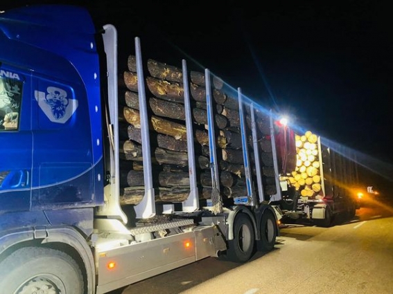 На Житомирщині прикордонники за добу зупинили дві вантажівки з нелегальною деревиною