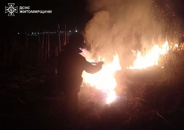 На Житомирщині за добу рятувальники ліквідували 16 пожеж в екосистемах (ФОТО)