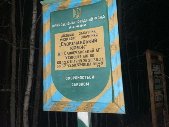 На Житомирщині екологи виявили незаконну порубку дубів на території лісового заказника