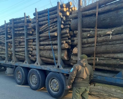 У Довбиській та Курненській громаді затримали вантажівку з деревиною