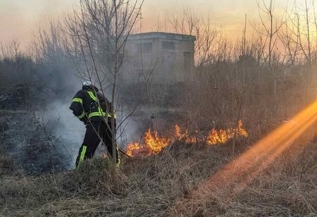 Упродовж доби в області зафіксовано 30 пожеж у природних екосистемах, найбільше загорянь виникло в Житомирському районі