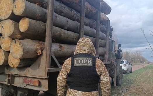 В прикордонні Житомирщини зупинено вантажівку, якою незаконно перевозили ліс